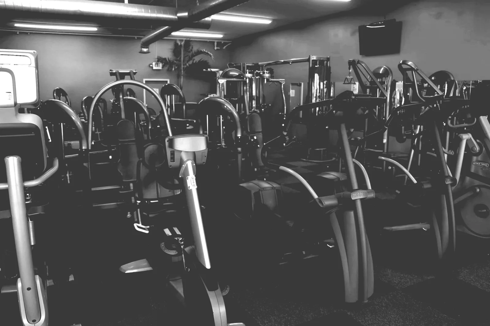 Rows of strength machines and free weights on the RockFit gym floor